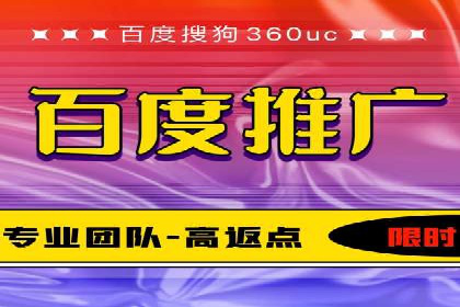 某电商平台的SEM策略与效果展示