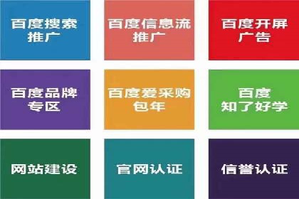 成功案例分享：Sem优化公司助力品牌增长